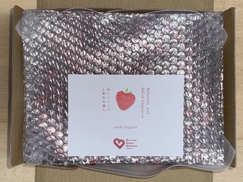 小粒訳あり!!(約1kg)　とくしまオーガニックいちご・さちのか １箱