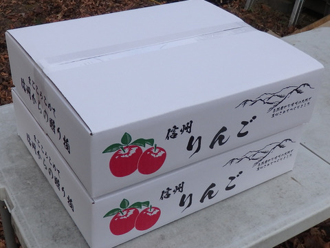 【大切な方へ】贈答用サンふじ5キロ16玉【葉とらず・大玉】JA基準より60％減の低農薬栽培