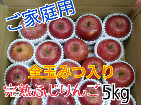 全玉みつ入り◆ご家庭用◆完熟ふじりんご約5kg