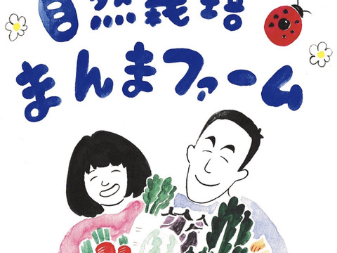 徳島県産新玉ねぎと葉物野菜+お楽しみのセット《栽培期間中農薬・肥料不使用》