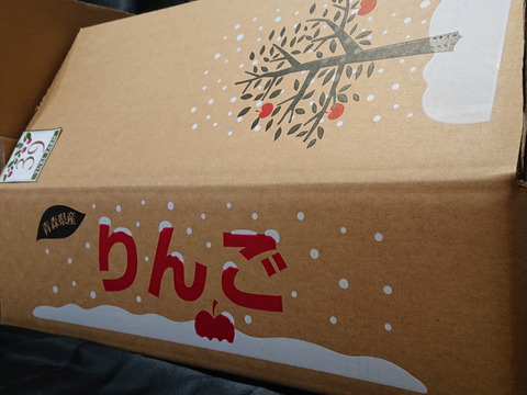 青森県産りんご 最高級品  「先行予約 」「冬ギフト」希少雪完熟りんご５kg１６個入