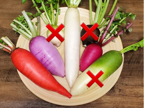 【カラフルな大根を食べ比べ】カラフルミニ大根セット【80サイズ5㎏未満詰め合わせ】農薬不使用