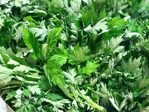天然＊グリ－ンパワー！ヨモギ300ｇ＆菜花のつぼみ500ｇ～農薬/化学肥料・不使用
