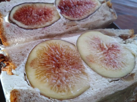 希少イチジク2種セット【農薬化学肥料不使用】和歌山県産