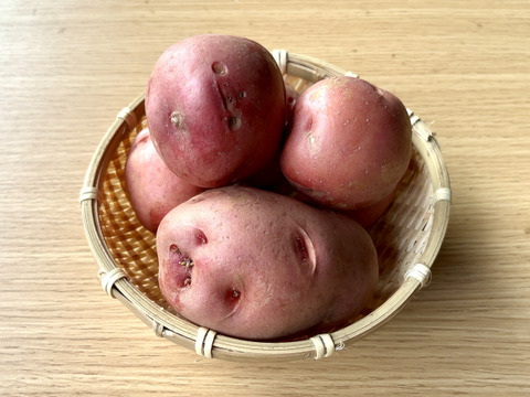 【洗い済】ホクホク紅色じゃがいも「アンデスレッド」 2キロ箱