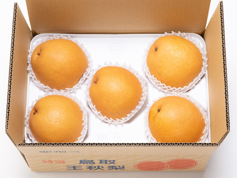 クール便「王秋梨」2.5キロ(4～6玉)たにがみ農園 鳥取県産 みずみずしい 梨 nashi ナシ なし【冬ギフト】