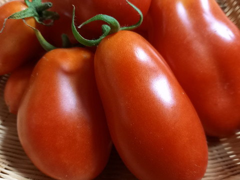 サンマルツァーノ　500g