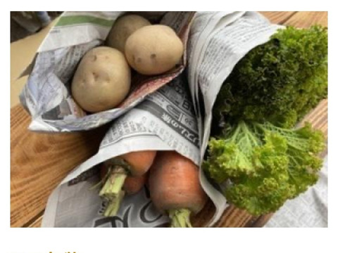 【数量限定】最旬の1品おまけ付！農薬不使用野菜セット(9品)/レシピ付き