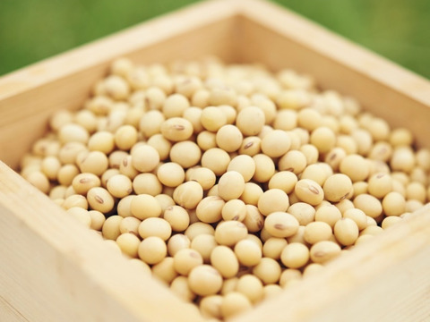 麦みそ　500g