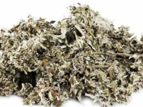 ヨモギ茶(山口県産、農薬、除草剤不使用)２０ｇ