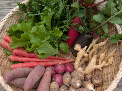 からだ温まる　まごころ野菜セット　Mサイズ、８－１０品種、農薬不使用の旬野菜