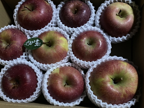 【冬ギフト】 🍎レビュー数1700件突破！！《家庭用》青森完熟葉とらずふじ８〜１２玉(約３kg)🍎ID119812