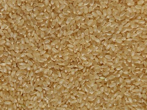 有機JAS認証転換期間中　有機栽培ササニシキ玄米4㎏