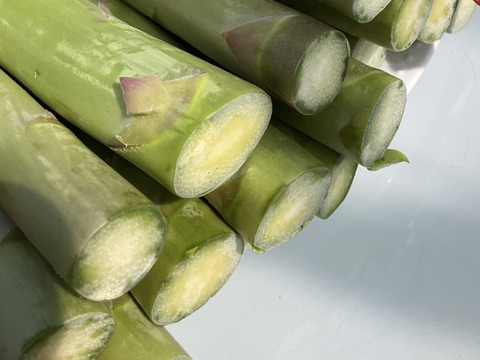 【予約受付開始】4月下旬～5月上旬発送★ Ｌ～2Ｌ極太サイズのアスパラガス1キロ　＼柔らかくて甘い／