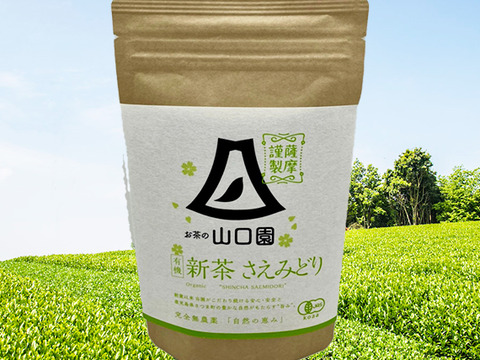 新茶 冴緑 80g +薩摩銘茶『極』80g +薩摩銘茶『匠』80g 3本セット