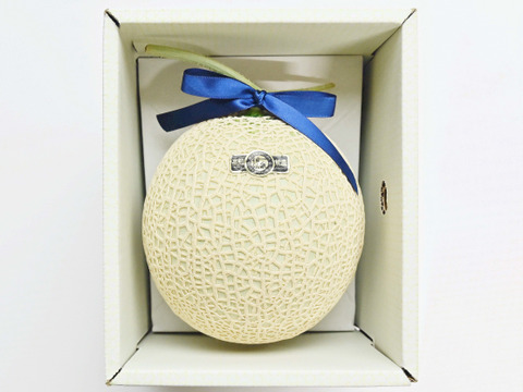 【父の日ギフト】1玉入り外まで甘いマスクメロン