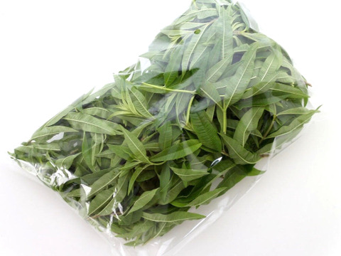 無農薬*フレッシュ レモンバーベナ 50g