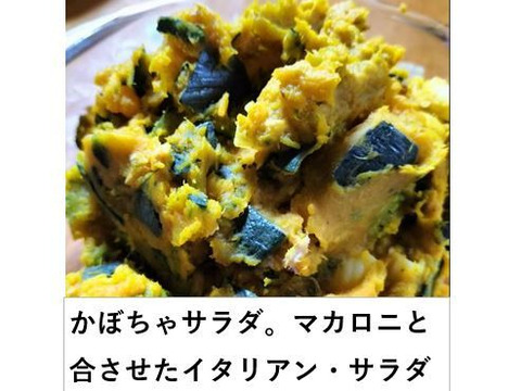 まろあじ 食べ切りバターナッツかぼちゃ（約1kg 2〜3玉 ）