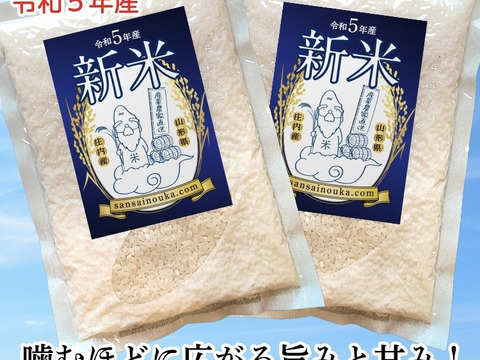 【特A受賞米】新米はえぬき2合×2袋　さっぱり食感！令和5年山形県庄内産　白米！