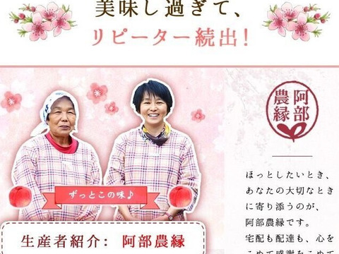 【ギフト】思わず笑顔になる　ありがとうギフト E（桃のジェラート×３個：桃のシャーベット×２個）