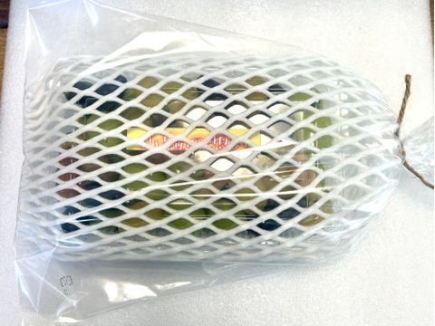 小粒系ブドウ　５種食べ比べ『小粒の想い』500g×1P　朝採り新鮮！夏の終わりのブドウ祭り 只今２０％増量サービス中！！