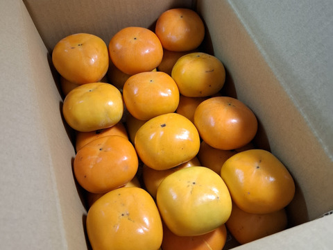 秋来る　たねなし柿（箱込み５kg以内・２４～ ３０個入り）※ご家庭用