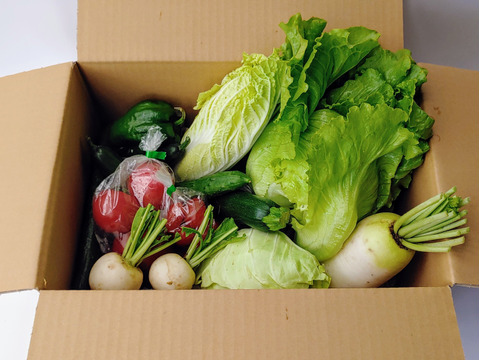 八ヶ岳高原から直送!旬の野菜セット8品目以上　100サイズ　トマトピューレ１瓶