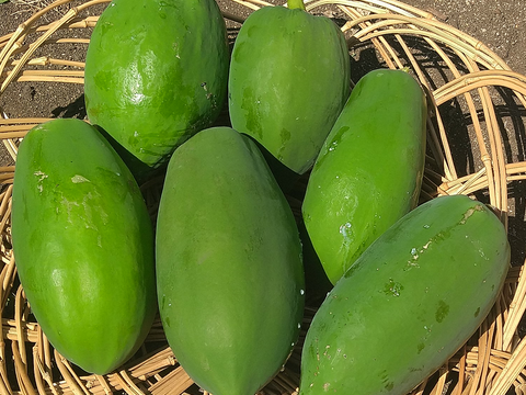 北関東から青パパイヤをお届けします‼1kg
こだわりの生産のため生産量が限られてます
 (下処理の仕方と簡単なレシピを同封いたします）