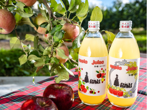 りんごジュース　600ml×3セット（青林、ほおずり）　100％ストレート果汁　おまかせ