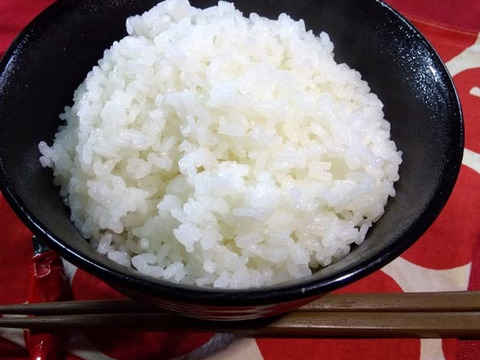 【定期便】白米5Kg×2袋新潟コシヒカリ🏆食べチョクお米グランプリ2025🏆銀賞『Riki-Saku』。冷めると甘みが増します。【真空パック】