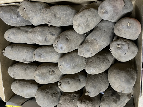 【販売期間終了間近SALE〜2/28】北海道　じゃがいも　シャドークイン　8kg  ジャガイモ　ほくほく　旨い！