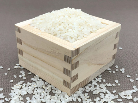 自然栽培のお米『亀の尾』5分づき2kg