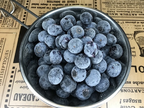 冷凍ブルーベリー（350g）― 旬の甘酸っぱさを、そのまま封じ込めて ―