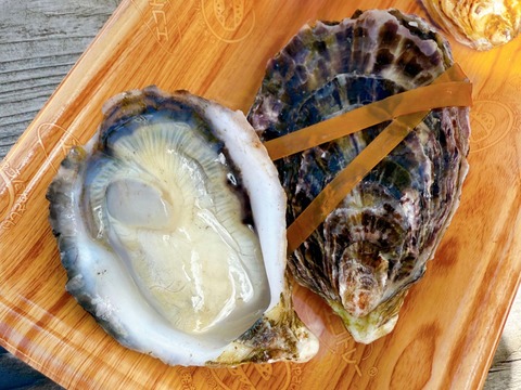 【ご自宅がオイスターバーに！特殊加工で殺菌！】広島県産　生食用　冷凍殻付きかき　約60-80g×10個　2pcセット