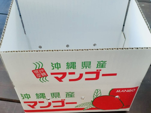 【数量限定】家庭用 完熟マンゴー（約1.5Kg）沖縄県産