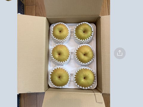 【PREMIUM幸水梨3kg】贈答用( 特大5~7個) 甘くてジューシー💦まるで梨ジュース🥤ひとつひとつ色付きを確認して樹上完熟で収穫😋特大梨の収穫量が増えました‼️