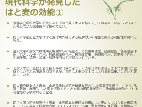 自然栽培はと麦粗挽き全粒粉