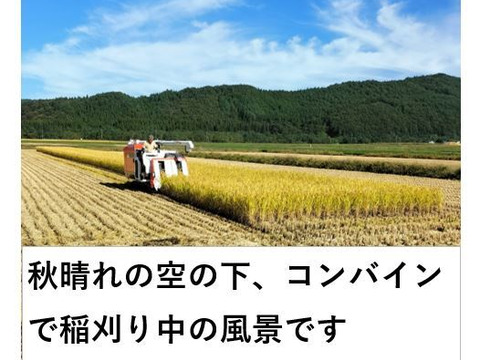 新米〈玄米〉約10kg 秋田のあきたこまち 【令和7年産】【冬ギフト】