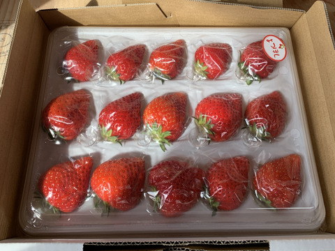 【冬ギフト】甘味と旨味抜群！完熟いちご（よつぼし）約420ｇ入り1ケース