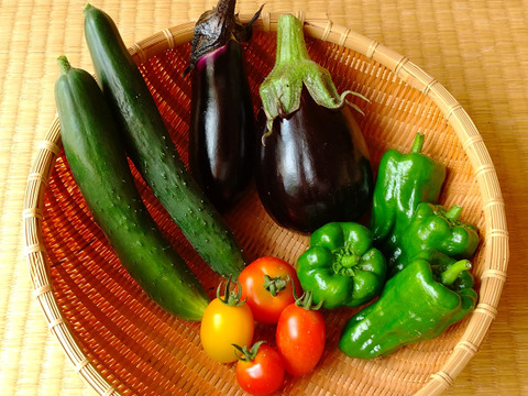 【自然栽培】【7種】南信州/飯田から旬の野菜セット　Mサイズ