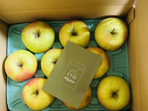 甘くて美味しい！　ぐんま名月　家庭用　小玉　約3キロ【JA基準より60％減の低農薬栽培】