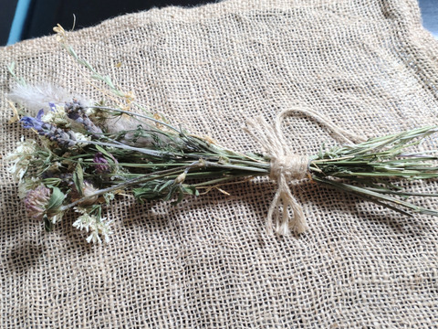 【単品用☆送料メール便360円】ドライフラワー②❀（オルレア・ラベンダー・チガヤ・ホソムギ・ムラサキツメクサ・コツブツメクサ）長さ約30cm（ひも部分含まず）