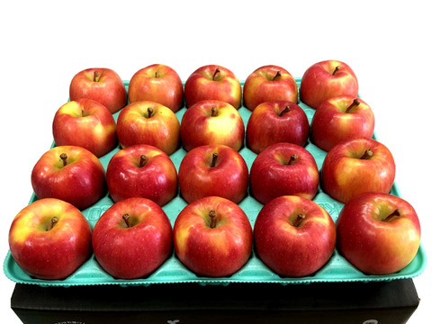 「話題の こうとく !! 」約4.5Kg青森県産 数量限定 高徳 りんご 『話題のリンゴはこ こみつ けたら即買いをお勧めします!!』 林檎 apple