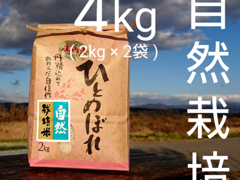 【 無洗米 ・4kg 】米の旨味たっぷり 自然栽培米 ひとめぼれ
