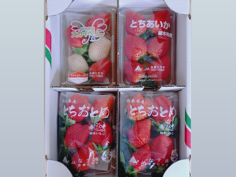 ４種いちごの食べ比べ＋ライム