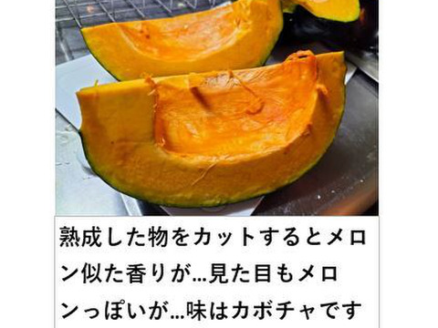 鉄かぶと（約3.5kg 2～4玉）★肉厚でジューシーなカボチャ！【冬ギフト】