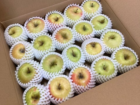 【販売開始！】青森県産りんご「ぐんま名月」家庭用 キズ有 約5kg 【光センサー選果・高リピート率】