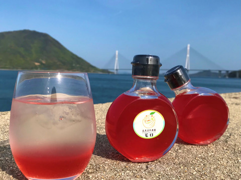 【無添加・農薬・化学肥料等不使用栽培】コーディアルシロップ　ブラッドオレンジ（モロ）150ml×2本