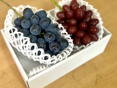 【彩りセット】クイーンセブン＋泉州パープルのセット