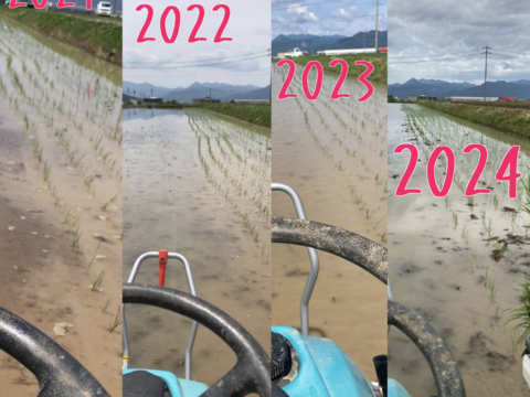 25年度産新米!!　信州上田産コシヒカリ玄米5kgx3袋 おむすび お弁当に!!　 25年度産新米!! 令和7年 農家直送